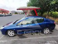2007 Peugeot 407