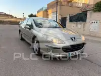 2007 Peugeot 407