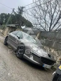 2007 Peugeot 407