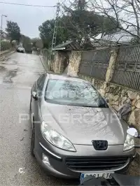 2007 Peugeot 407