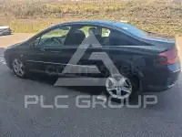 2007 Peugeot 407