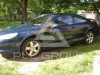 2007 Peugeot 407