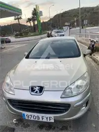 2007 Peugeot 407