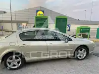 2007 Peugeot 407