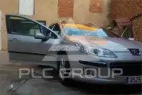 2007 Peugeot 407