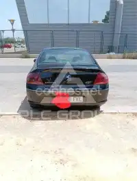 2007 Peugeot 407