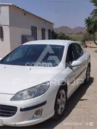 2007 Peugeot 407