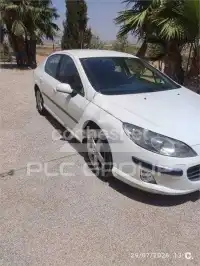 2007 Peugeot 407