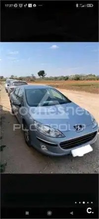 2007 Peugeot 407