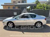 2007 Peugeot 407