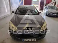 2007 Peugeot 407