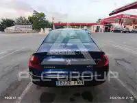 2007 Peugeot 407