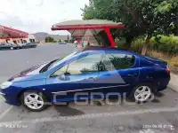 2007 Peugeot 407