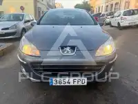 2007 Peugeot 407