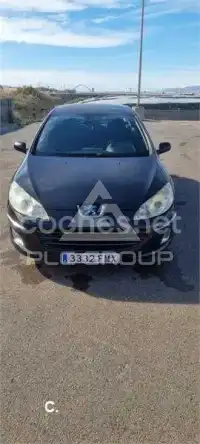 2007 Peugeot 407
