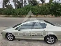 2007 Peugeot 407