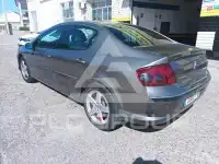 2007 Peugeot 407