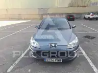 2007 Peugeot 407