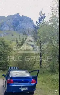 2007 Peugeot 407