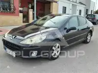 2007 Peugeot 407
