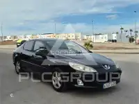 2007 Peugeot 407