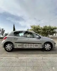 2007 Peugeot 207