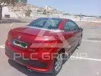 2007 Peugeot 207