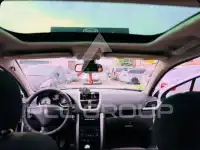 2007 Peugeot 207