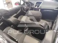 2007 Peugeot 207