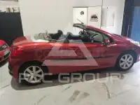 2007 Peugeot 207