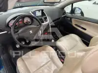 2007 Peugeot 207