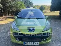 2007 Peugeot 207
