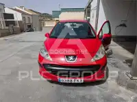 2007 Peugeot 207