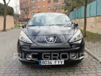 2007 Peugeot 207