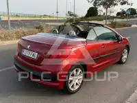 2007 Peugeot 207