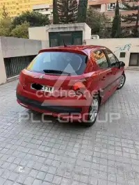 2007 Peugeot 207