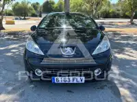 2007 Peugeot 207