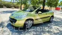 2007 Peugeot 207