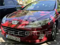 2008 Peugeot 407