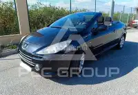 2008 Peugeot 307