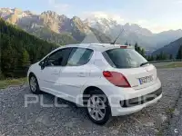 2008 Peugeot 207