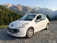 2008 Peugeot 207