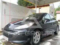 2008 Peugeot 207