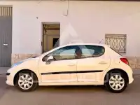 2008 Peugeot 207