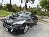 2008 Peugeot 207