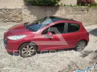 2008 Peugeot 207