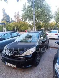 2008 Peugeot 207