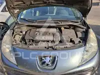 2008 Peugeot 207