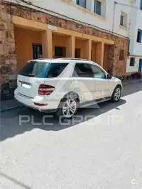 2009 Mercedes Benz M-Class