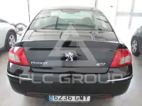 2009 Peugeot 407